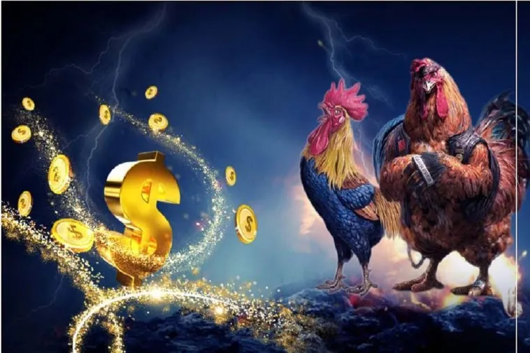 Khám Phá Cách Chơi Đá Gà WS168 Tại V9BET Đầy Kịch Tính 2 Khám Phá Cách Chơi Đá Gà WS168 Tại V9BET Đầy Kịch Tính