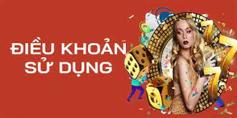 Điều Khoản Sử Dụng
