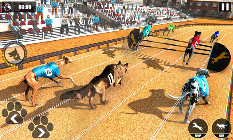 Hướng Dẫn Chơi Game Nhanh Đua Chó Tại V9BET Thắng Thưởng Cực Đỉnh 2 Hướng Dẫn Chơi Game Nhanh Đua Chó Tại V9BET Thắng Thưởng Cực Đỉnh
